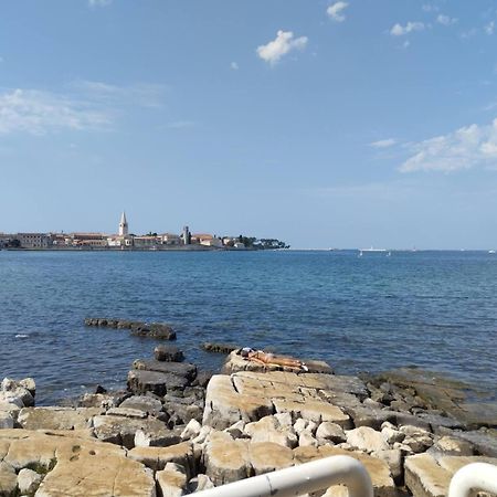Maestral Daire Poreč Dış mekan fotoğraf