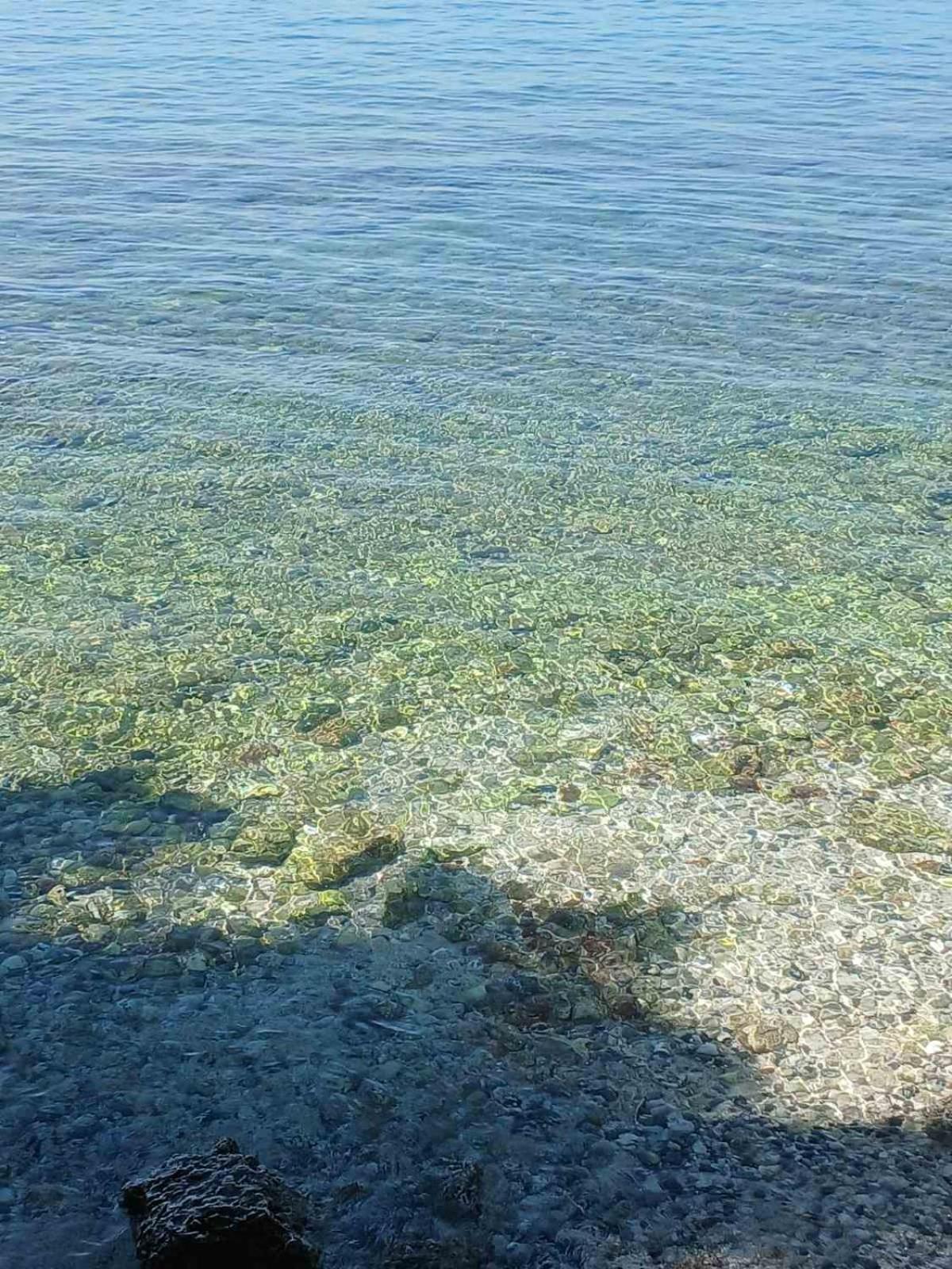 Maestral Daire Poreč Dış mekan fotoğraf